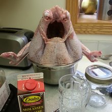 ������ ���� ���