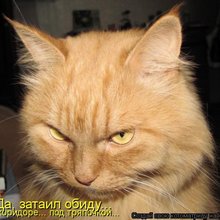 ������ ����������� �� ������