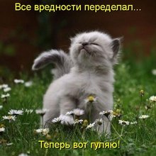 ������ ����������� �� ������