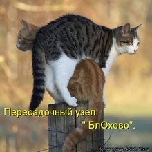 ������ ����������� �� ������