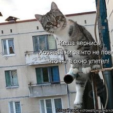 ������ ����������� �� ������