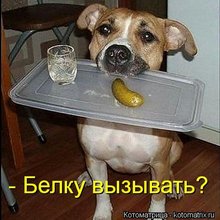 ������ ����������� �� ������