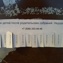 ������� � �������