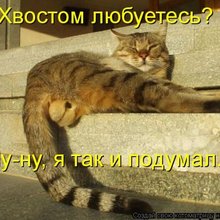 ������ ����������� �� ������