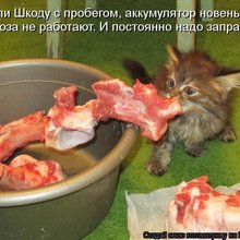 ������ ����������� �� ������
