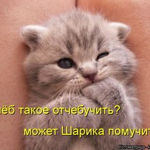 ������ ����������� �� ������