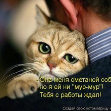 ������ ����������� �� ������