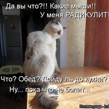 ������ ����������� �� ������