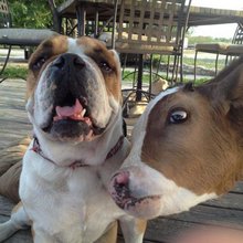 photobombs