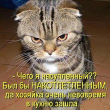 ������ ����������� �� ������