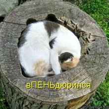 ������ ����������� �� ������
