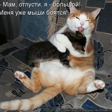 ������ ����������� �� ������
