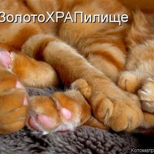 ������ ����������� �� ������