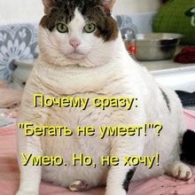 ������ ����������� �� ������