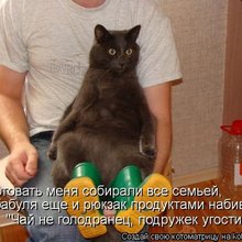 ������ ����������� �� ������