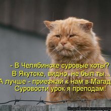 ������ ����������� �� ������
