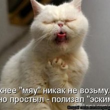 ������ ����������� �� ������