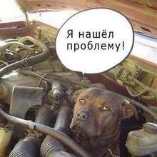 ���� �������