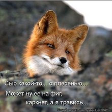 ������ ����������� �� ������
