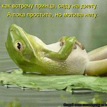 ������ ����������� �� ������