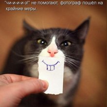������ ����������� �� ������