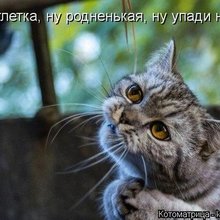 ������ ����������� �� ������