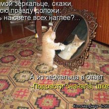 ������ ����������� �� ������