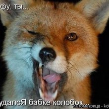 ������ ����������� �� ������