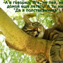 ������ ����������� �� ������