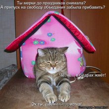 ������ ����������� �� ������
