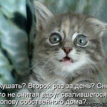 ������ ����������� �� ������