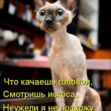 ������ ����������� �� ������