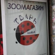 ������ ����������� �� ������