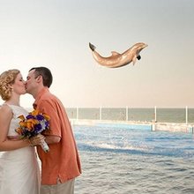 ��������� ���������