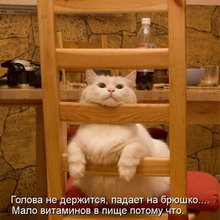 ������ ����������� �� ������