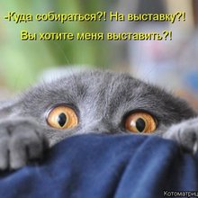 ������ ����������� �� ������