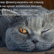 ������ ����������� �� ������