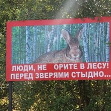 �������� ������� � ����������