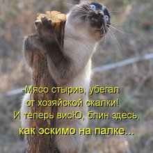 ������ ����������� �� ������