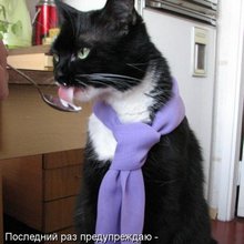 ������ ����������� �� ������