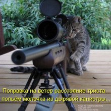 ������ ����������� �� ������