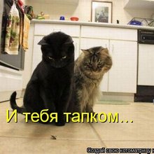 ������ ����������� �� ������