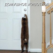 ������ ����������� �� ������