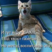 ������ ����������� �� ������