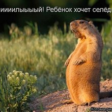 ������ ����������� �� ������