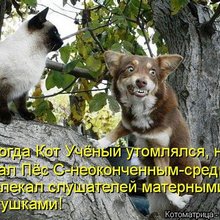 ������ ����������� �� ������