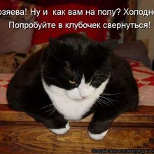 ������ ����������� �� ������