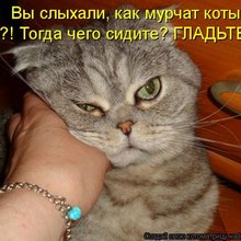 ������ ����������� �� ������