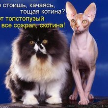 ������ ����������� �� ������