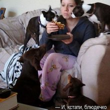 ������ ����������� �� ������